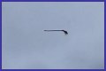 Disturbing video shows floating broom in the middle of the air and the internet is losing its collective mind
