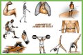Single part of a gym exercise
